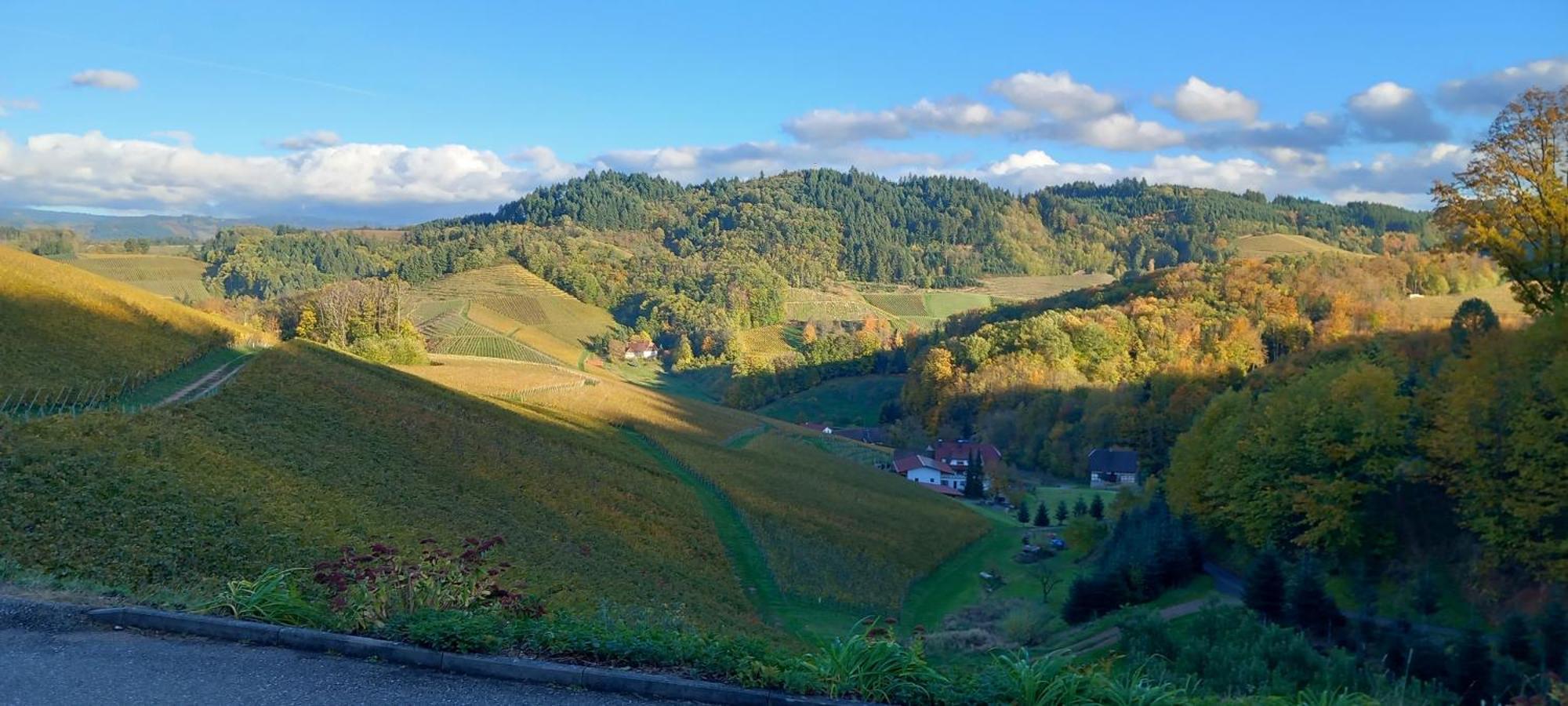 Schwarzwaldglueck * Oberkirch (Baden)